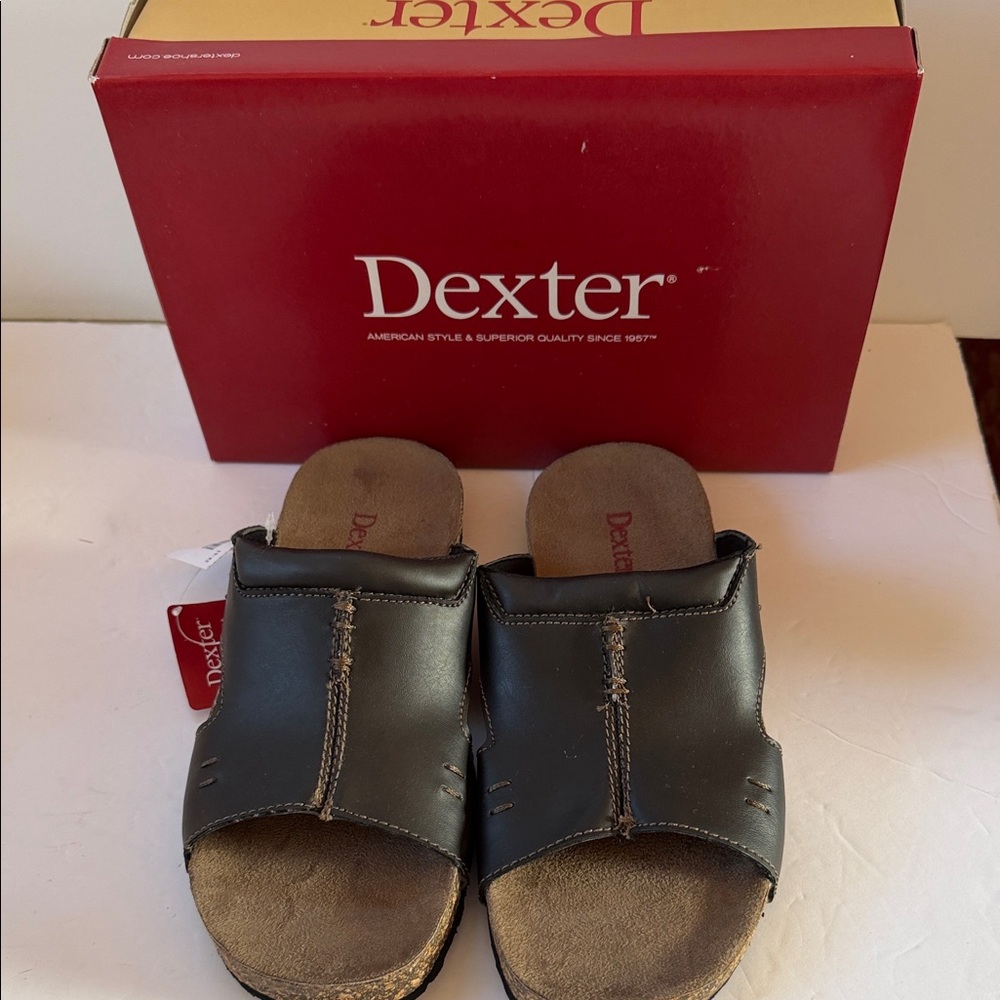 Men’s Dexter Sandal Slip On